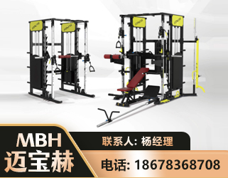 保定多功能综合训练器