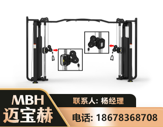 保定大飞鸟训练器