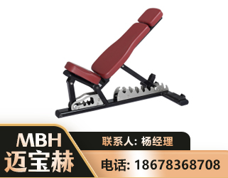 保定可调哑铃椅