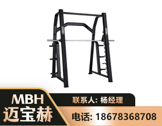 保定史密斯机