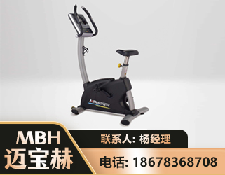 保定立式健身车